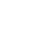 Saffron Wok logo