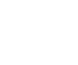 Wong's Wok logo